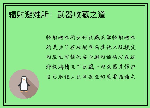 辐射避难所：武器收藏之道