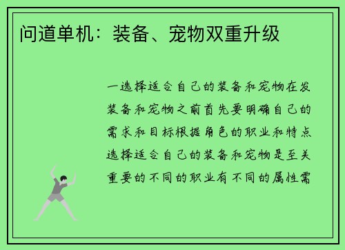 问道单机：装备、宠物双重升级